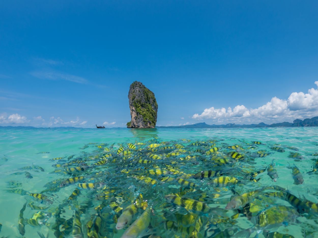 вода в тайланде