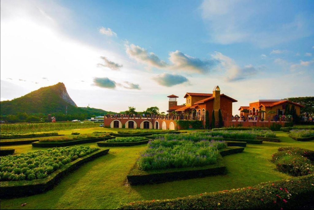 Silverlake Vineyard near Pattaya