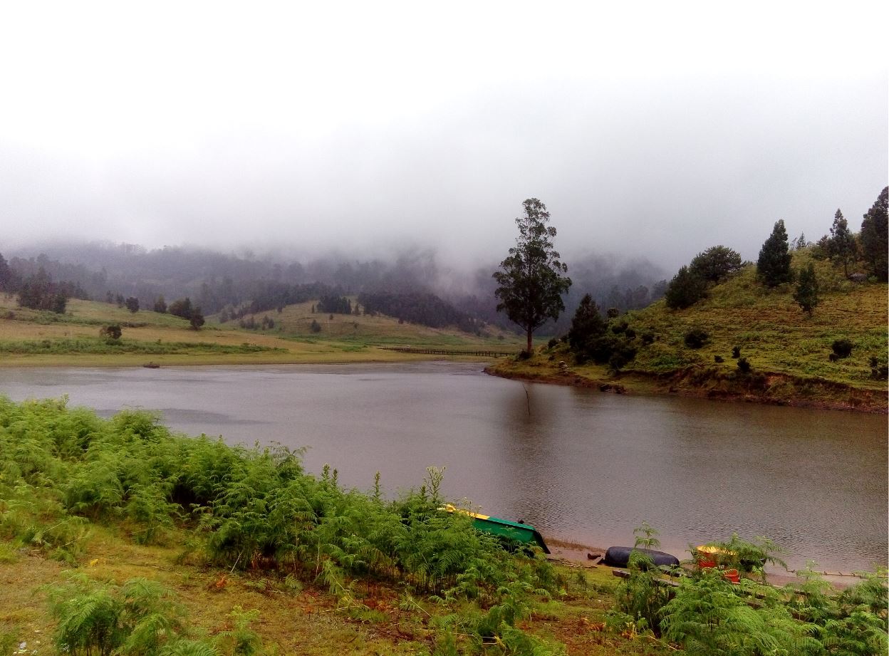 The Best Places to Visit in Kodaikanal, India | The Stupid Bear