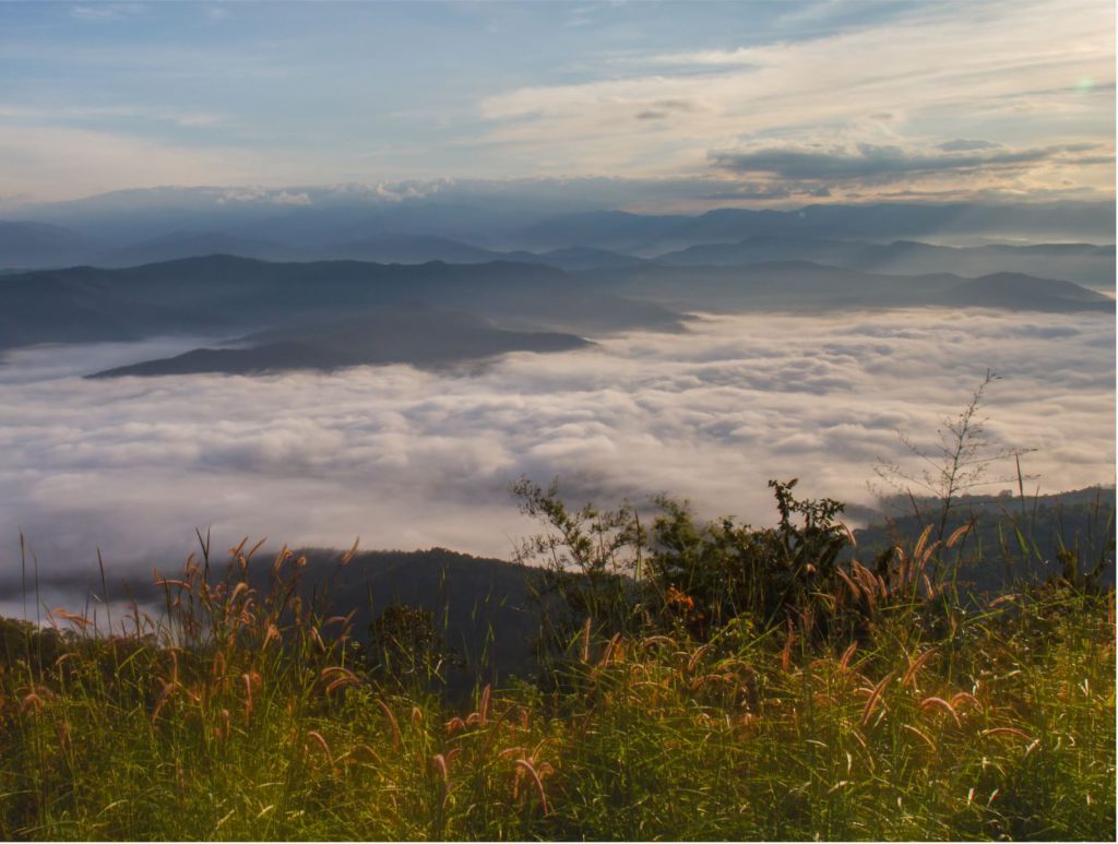 A bed of clouds that you can see from Doi Samer Dao, Nan, Thailand